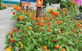 Little Trang An Homestay